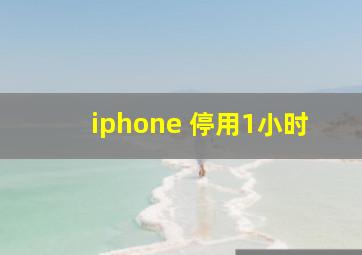 iphone 停用1小时